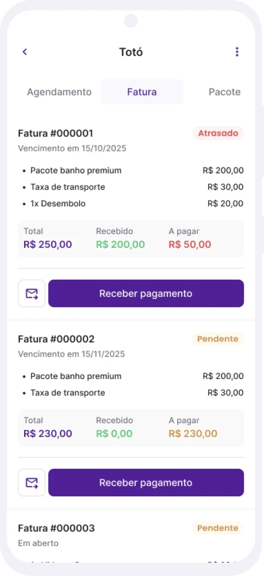 pagamentos pendentes - puplin