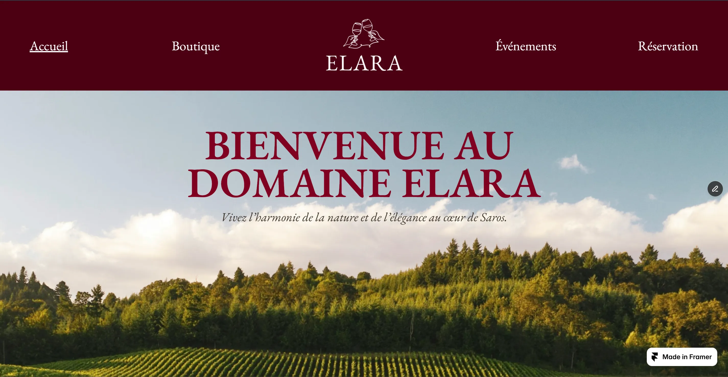 Site web professionnel pour domaine viticole avec présentation du vignoble et réservation en ligne