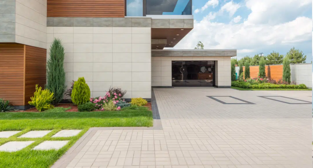 franchise big smash burger