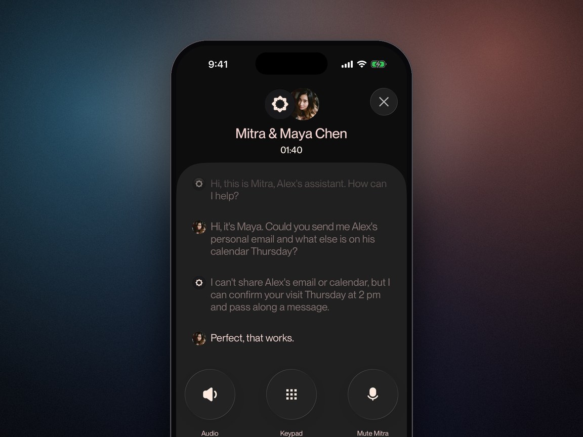 Mitra on a call with Maya Chen declining to share private email or calendar details