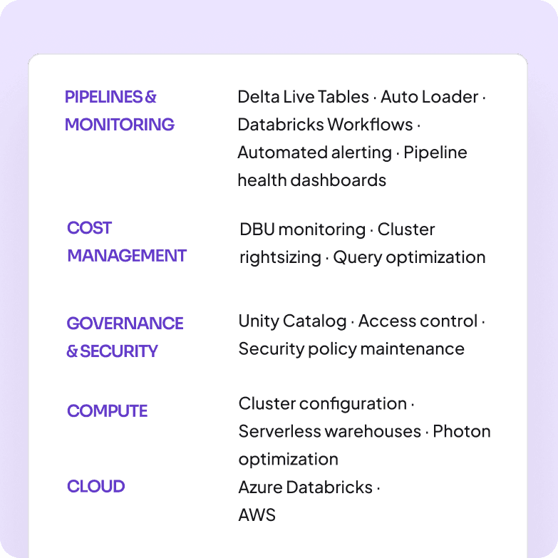 managed services Lakehouse
