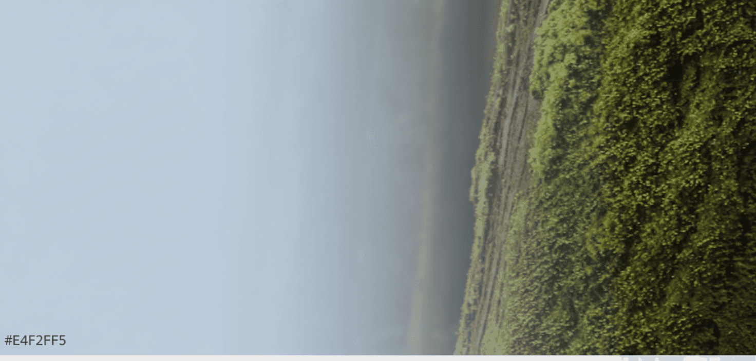 moss on trees in shallow focus photography