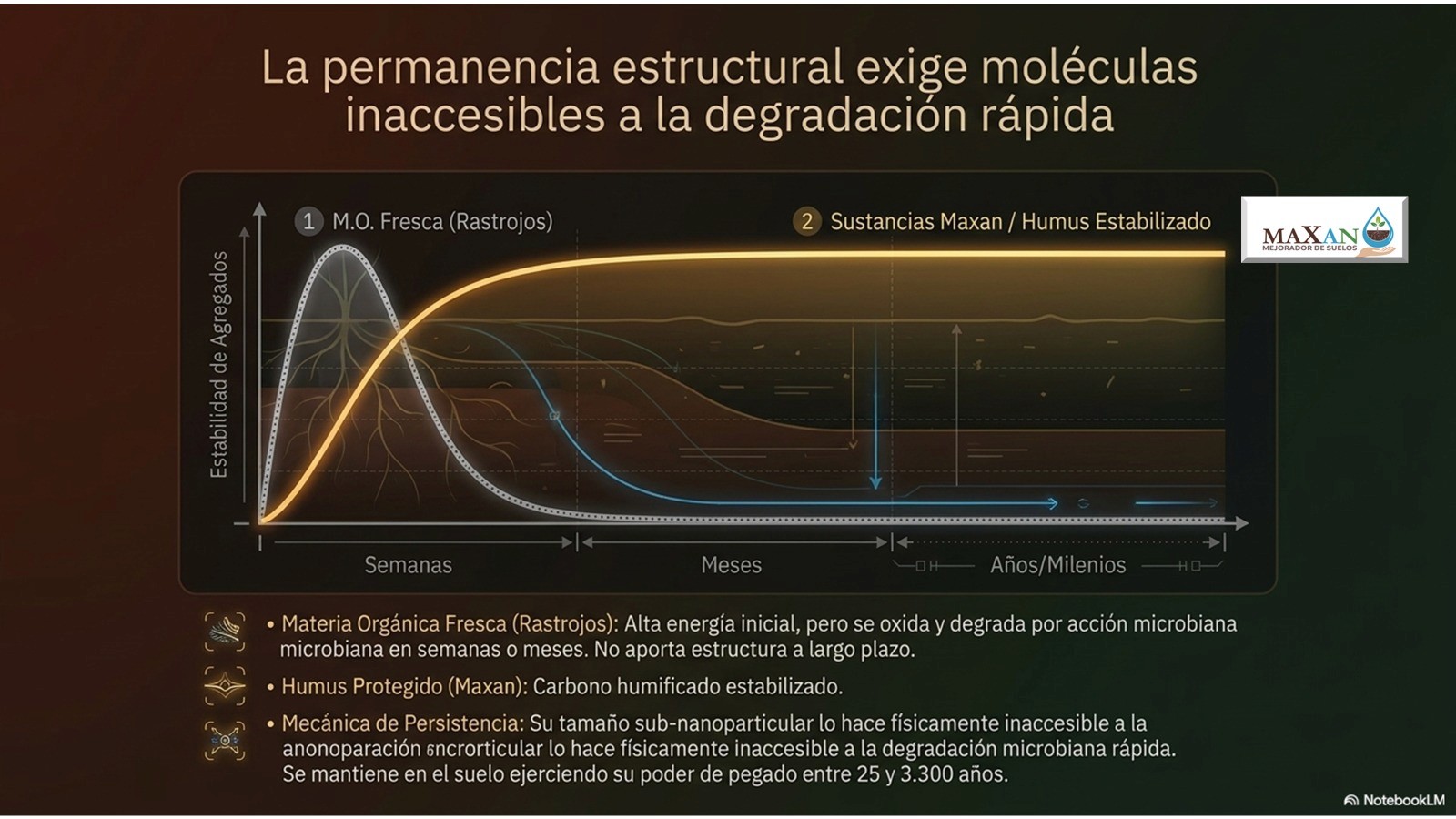 Permanencia estructural: la materia orgánica fresca se degrada en semanas, las sustancias MAXAN persisten miles de años