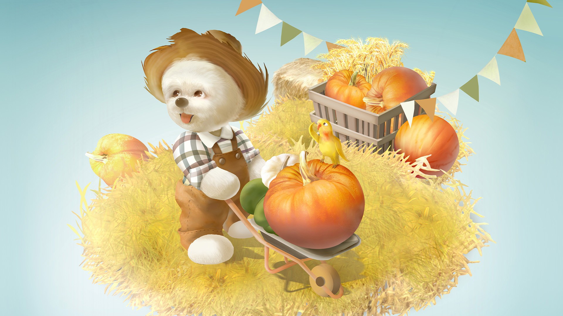 Farm｜農場日常