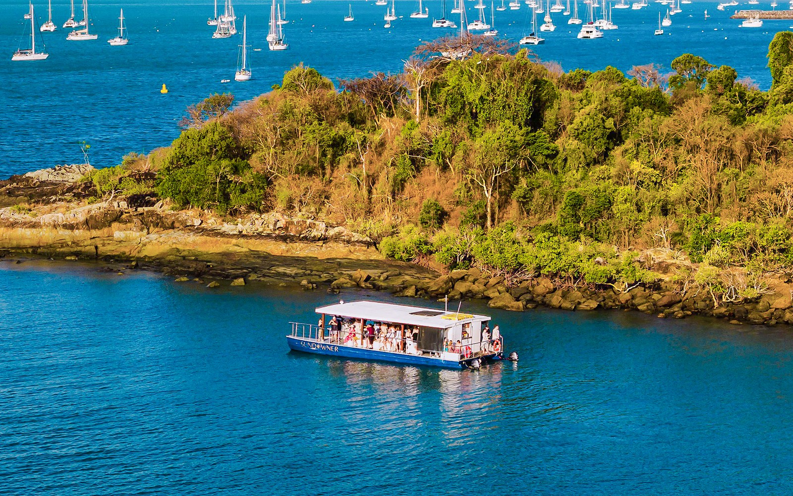 Aerial view of a sundowner cruise near lush island, Airlie Beach, with sailboats in the background.