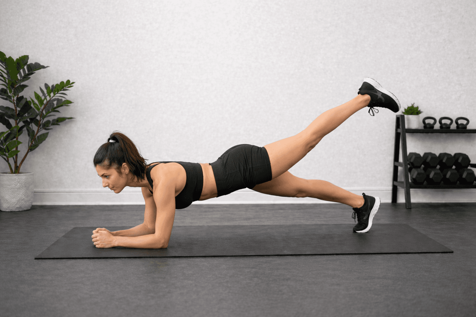 Plank Leg Up Exercise