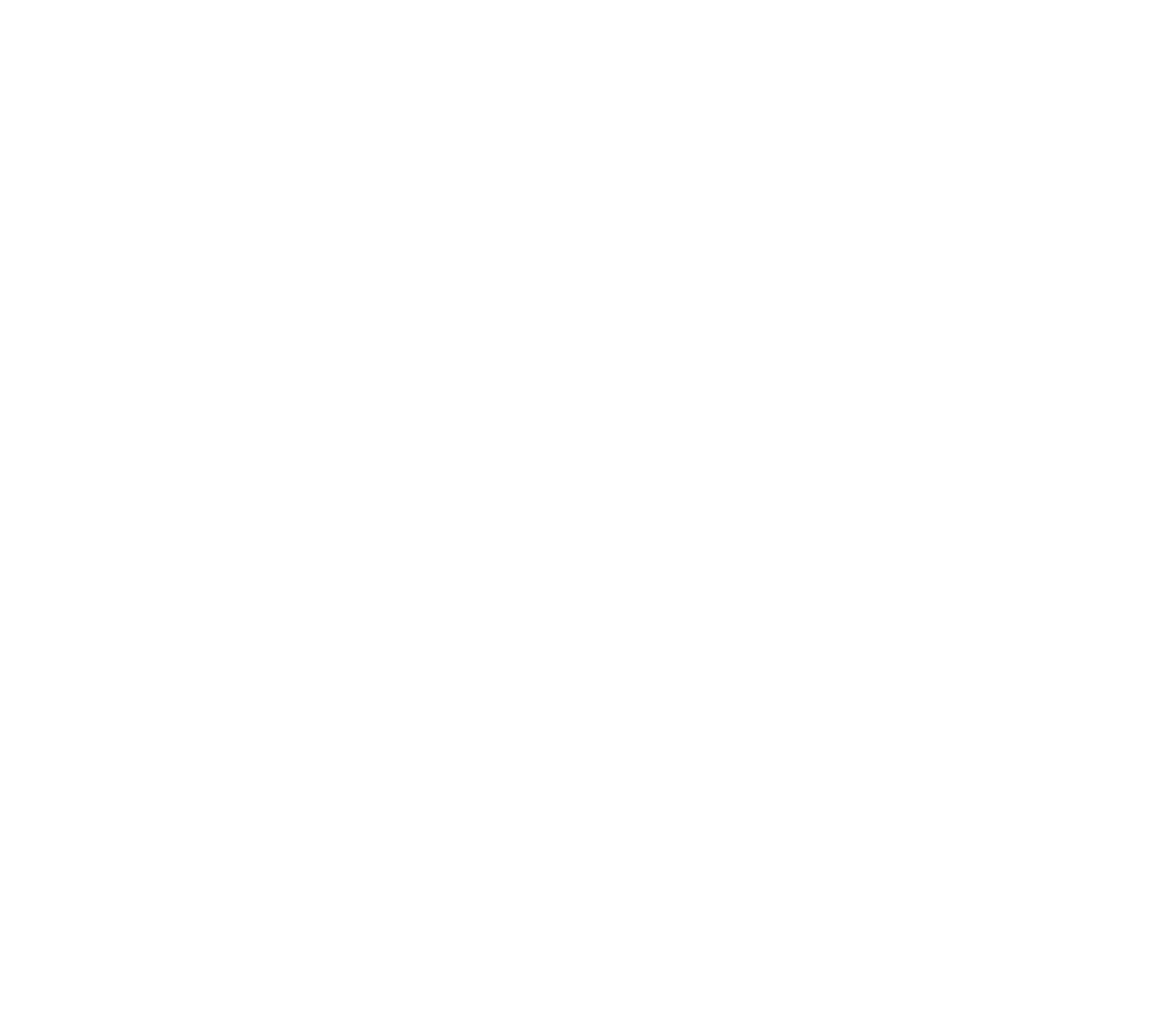 logo prvsm