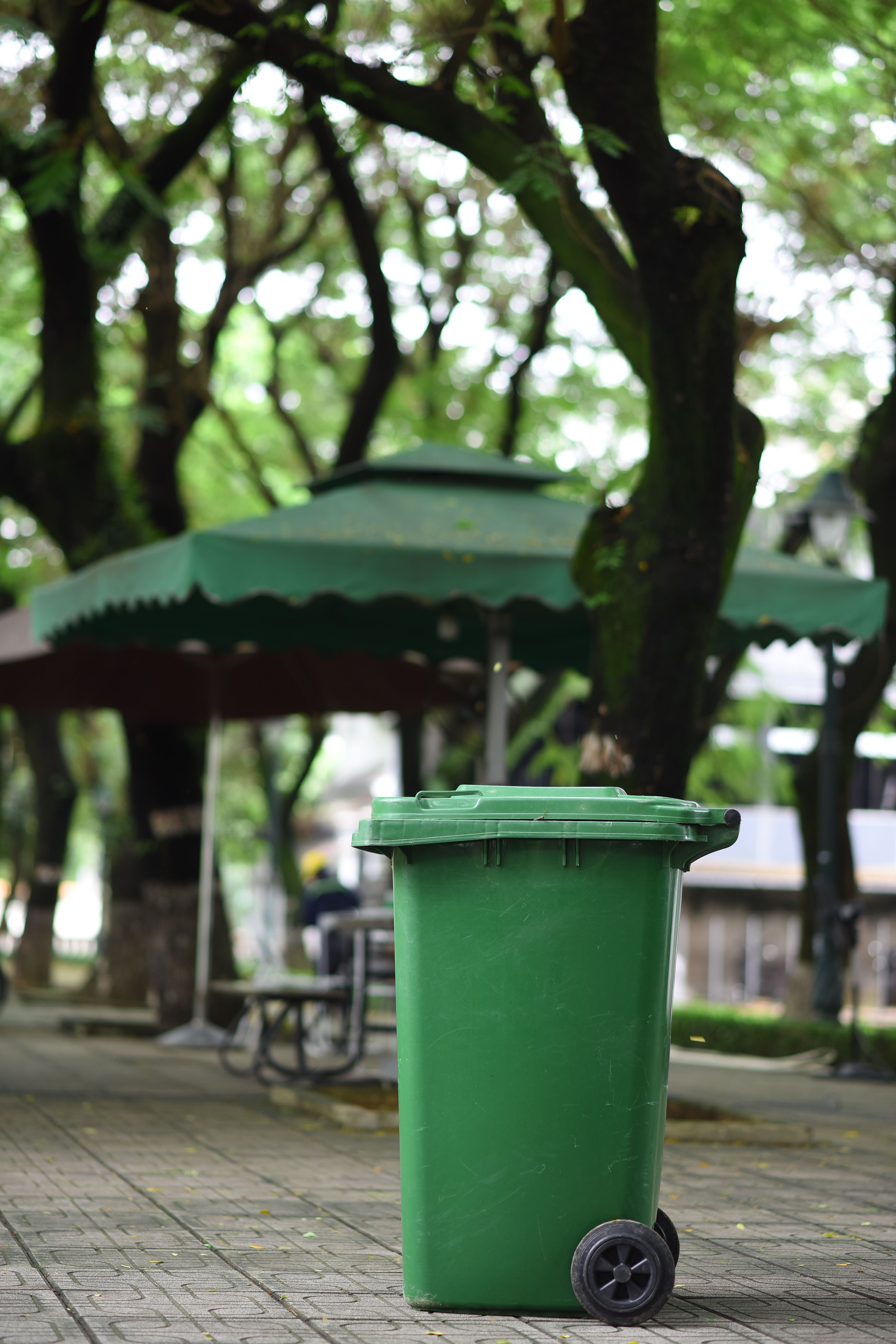 Trashly rental turnover