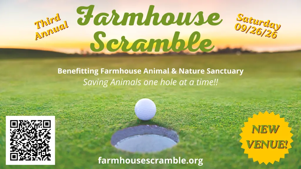 The image promotes the "Third Annual Farmhouse Scramble" golf event in Bradenton, FL, highlighting its date as Saturday, 09/26/26, with a close-up of a golf ball near a hole on a lush green course and emphasizing its support for the Farmhouse Animal & Nature Sanctuary.