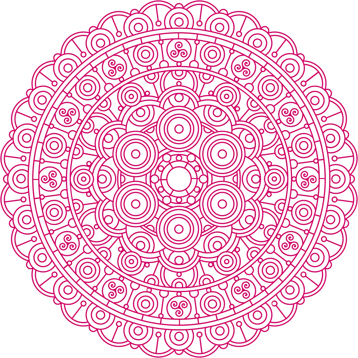 Mandala Kombucha Framboise