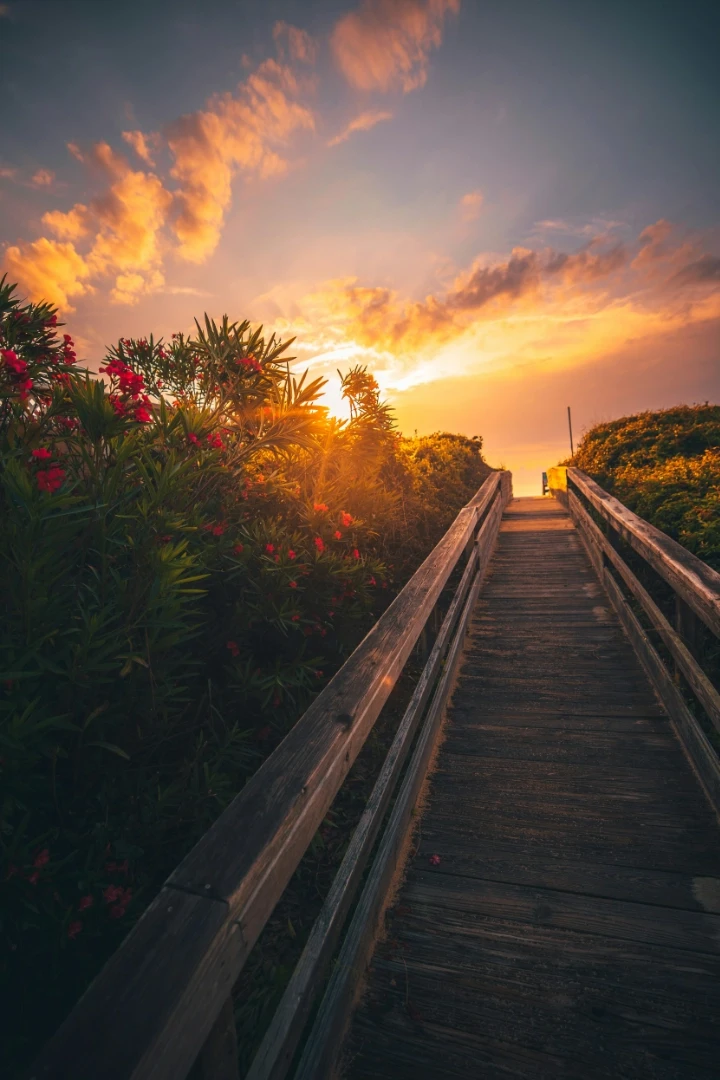 Brown wooden bridge during sunset, Outer Banks, NC.