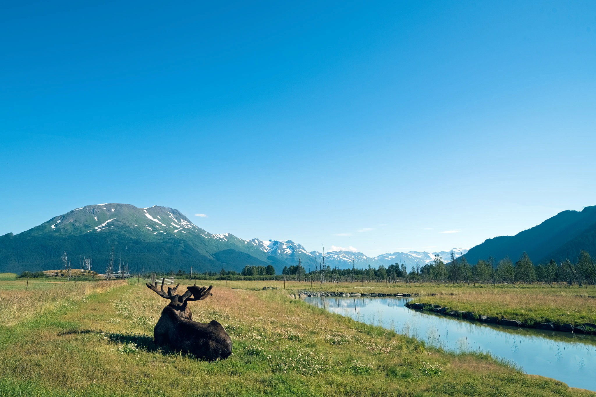 image of a woman on a trail