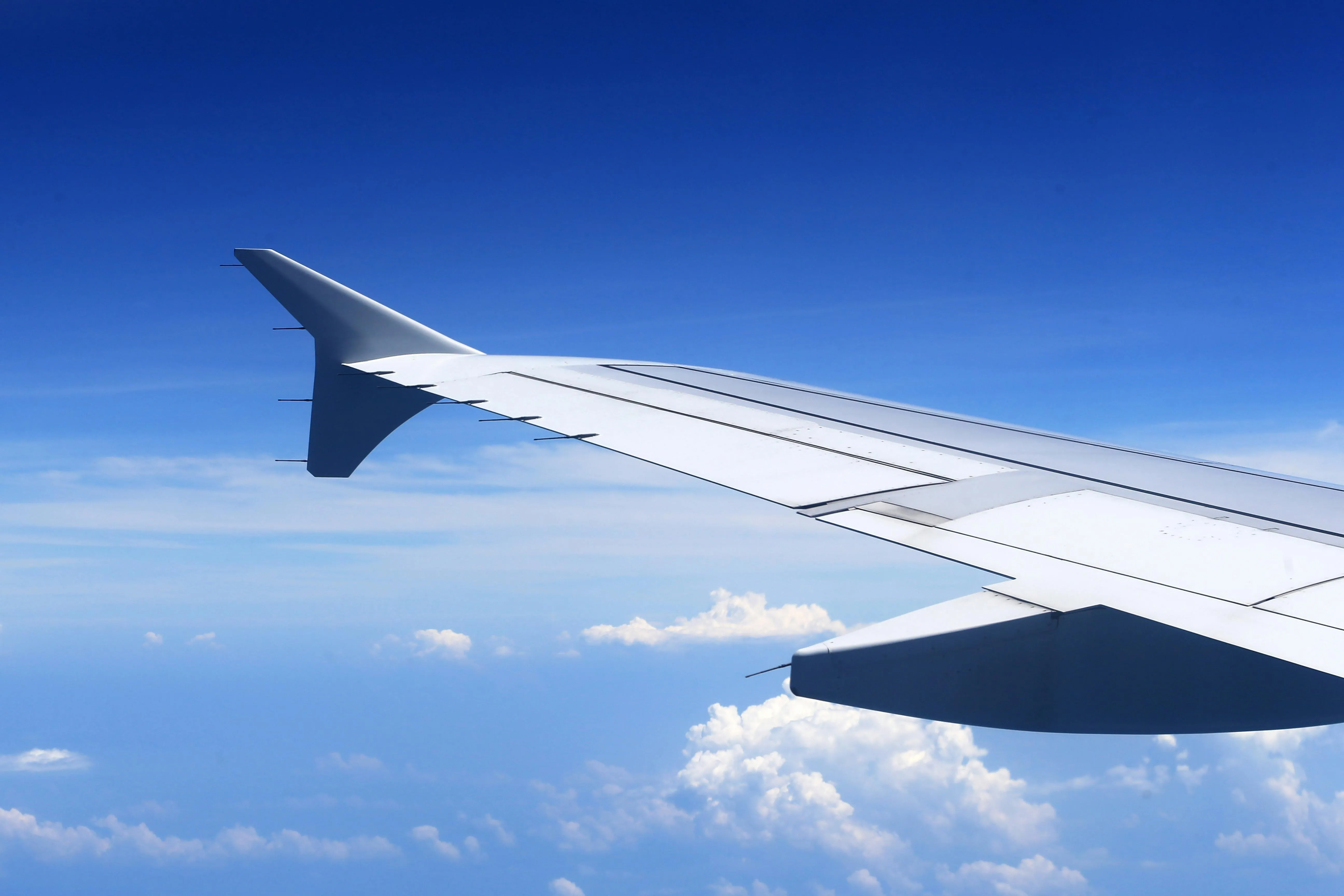ReloYaY! Wings | Flights