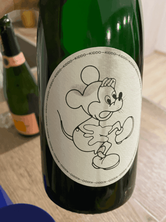 Review of wine Kiddo Skins 2023 from Milan Nestarec (Moravia, Czechia)