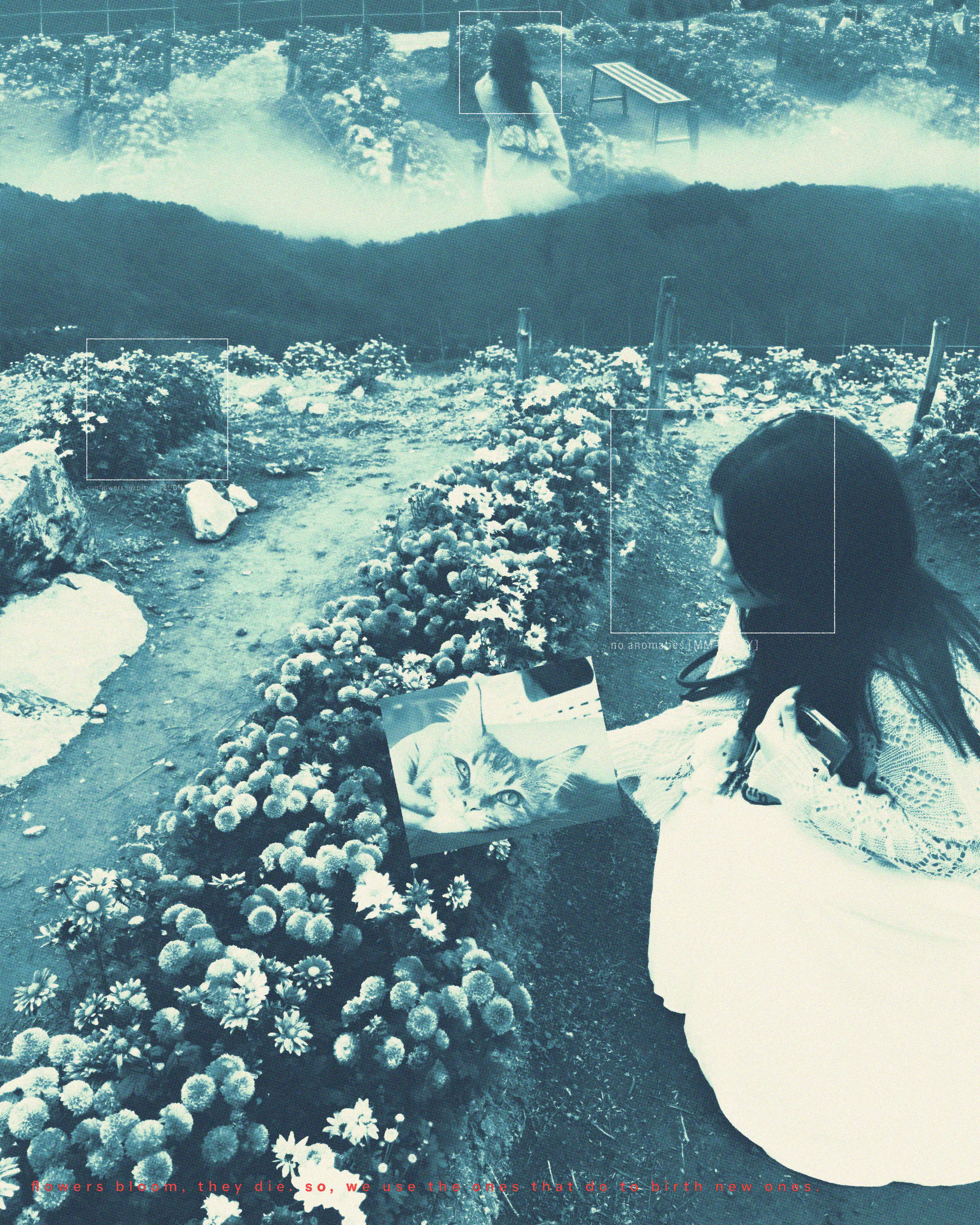 Black and white wave