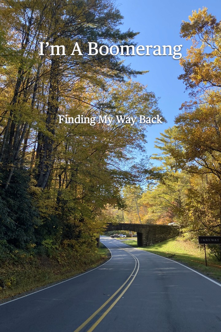 The cover of I'm A Boomerang: Finding My Way Back by Stuart Simpson, featuring a winding road beneath a stone bridge surrounded by colorful autumn trees, symbolizing resilience, hope, and the journey back.