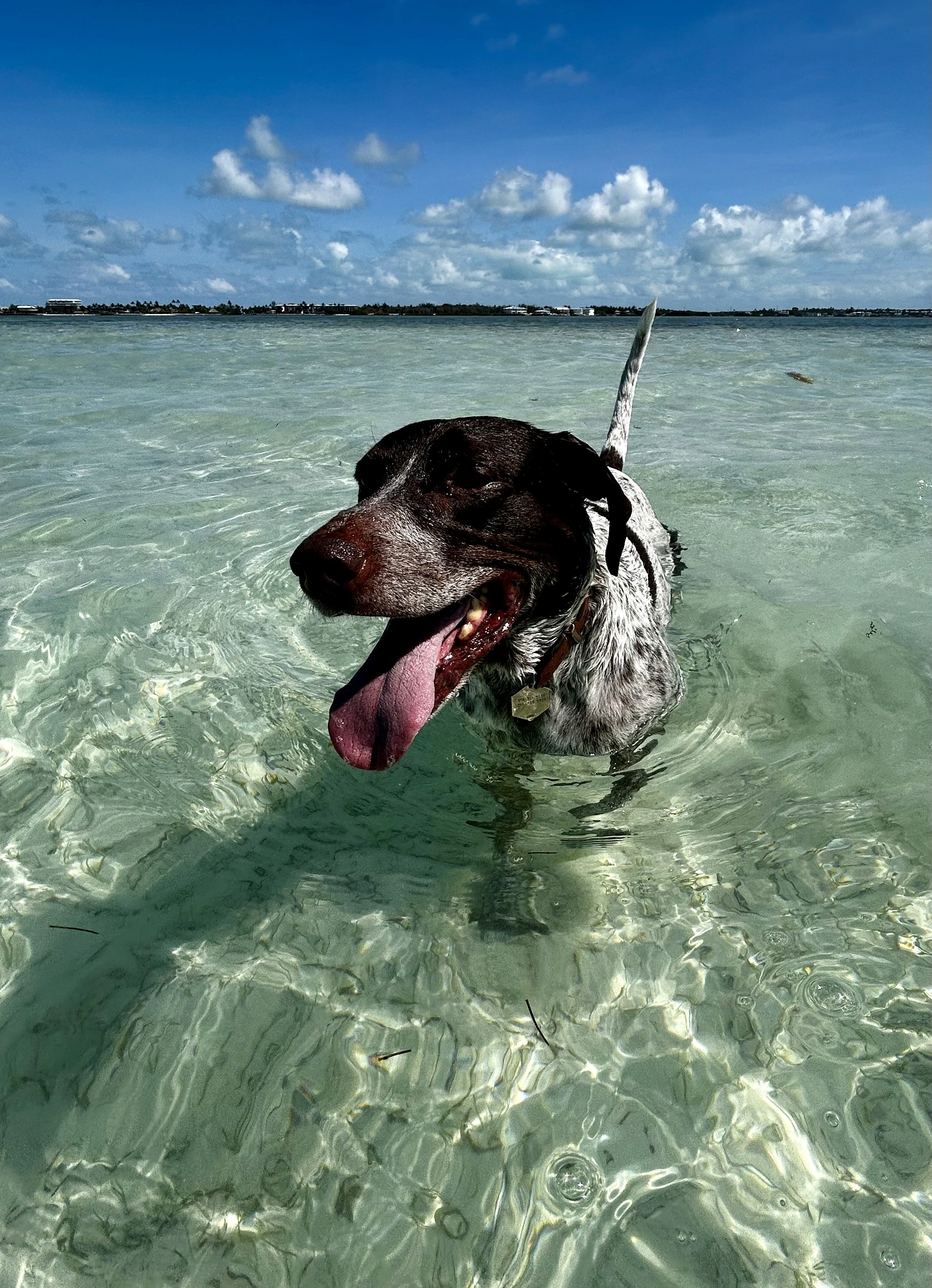 Riding a bicycle with V sign