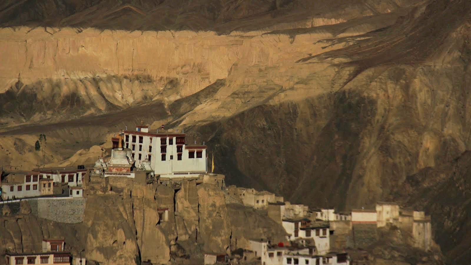 Woman Look Into The Camera