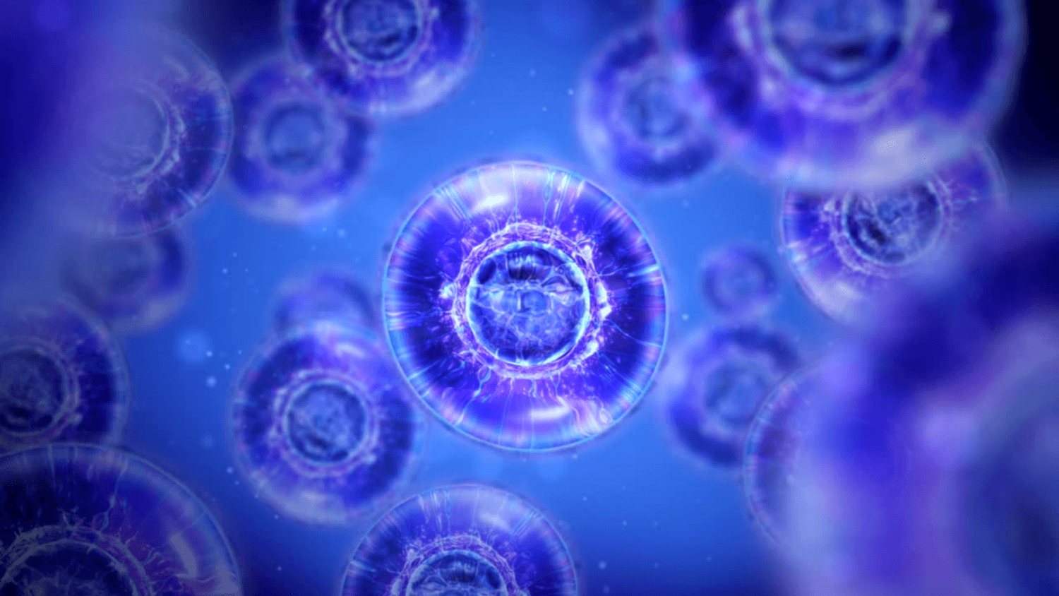 Profile Image of Logo Design Client