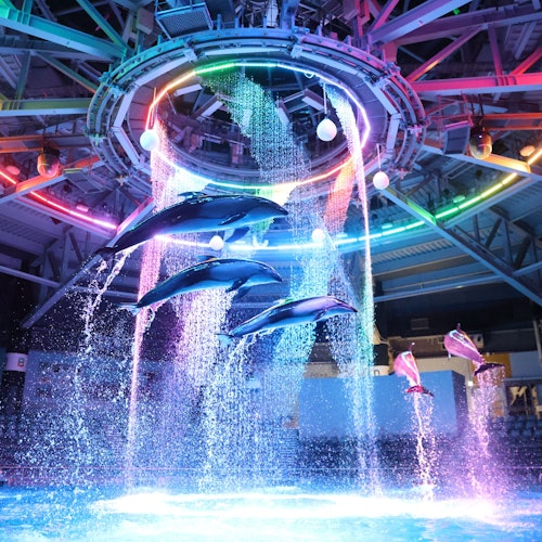 麥克斯水族館品川