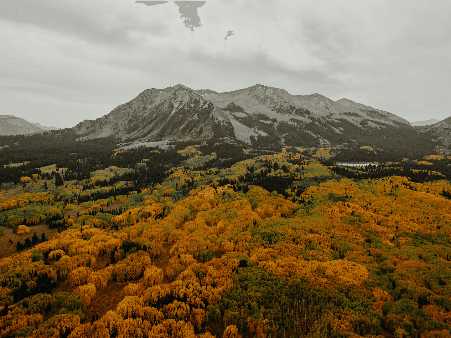 blurred background image of mountains and fall trees