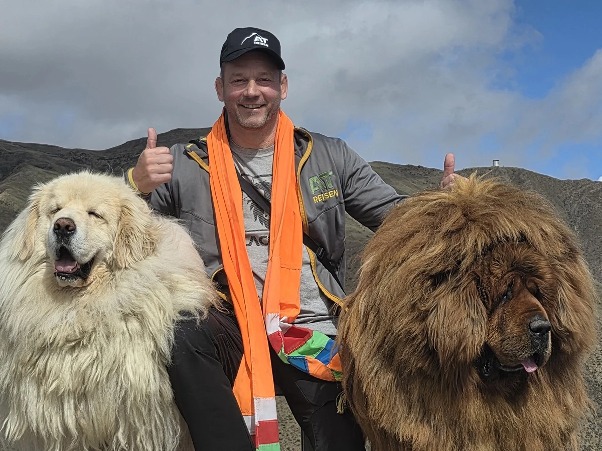 Steffen Kiefer mit Hütehunden