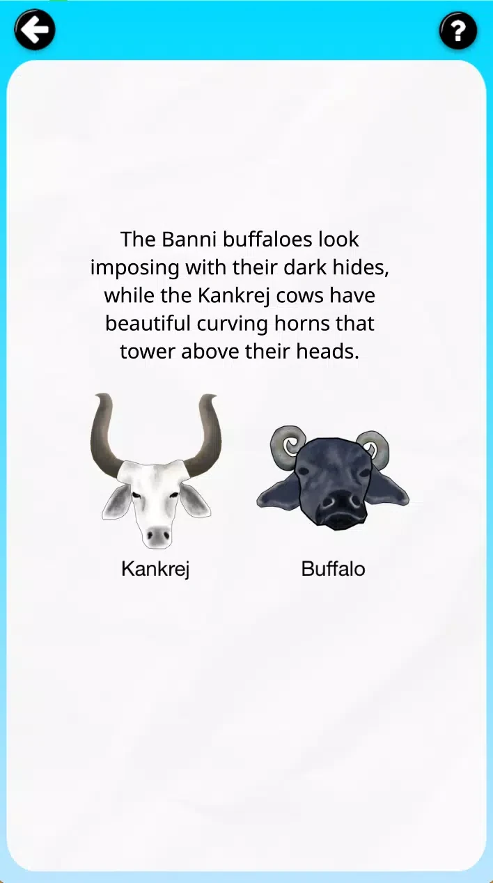 Banni simluation app - image 2 of 3