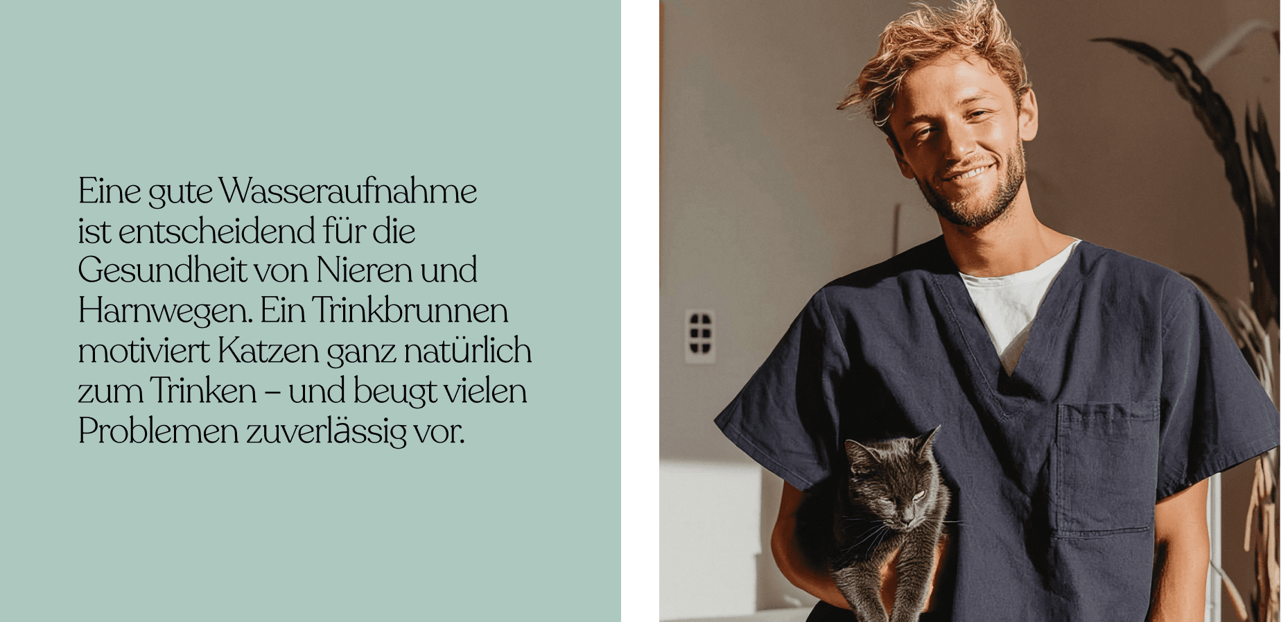 Ecommerce brand transformation from hydration product to wellness ecosystem