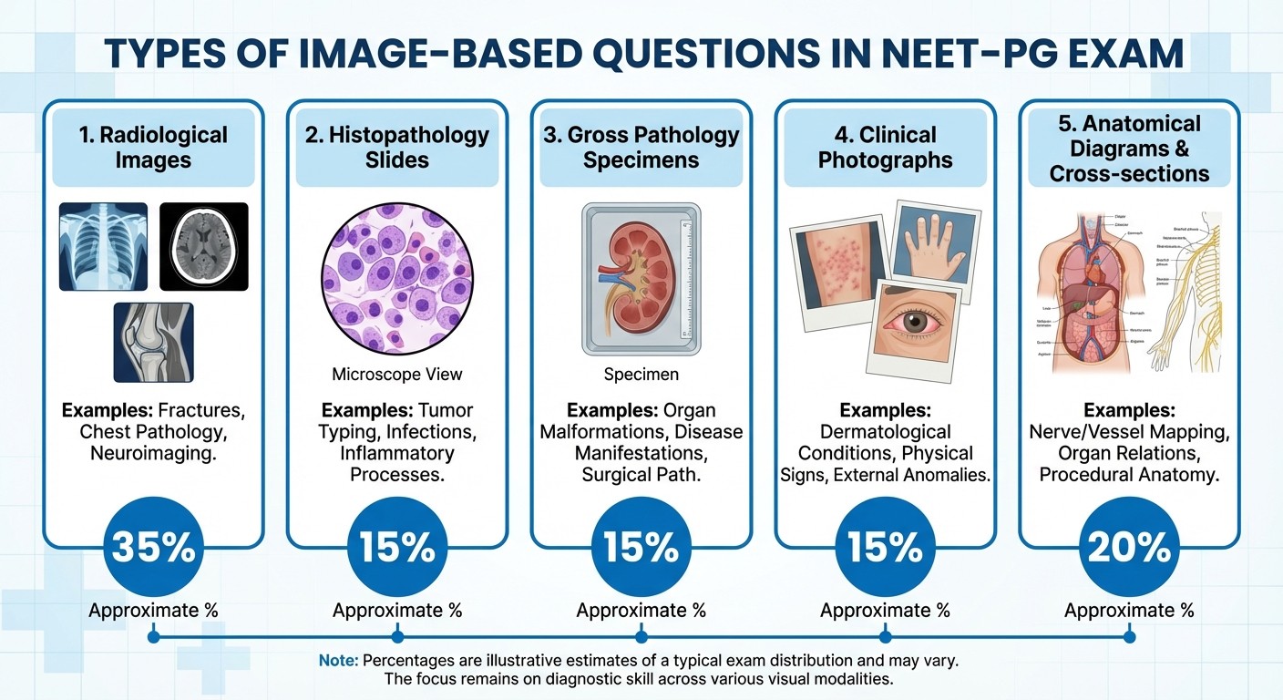 Types of image-based questions in NEET-PG - infographic showing radiology, histopathology, gross pathology, clinical photos, and anatomy