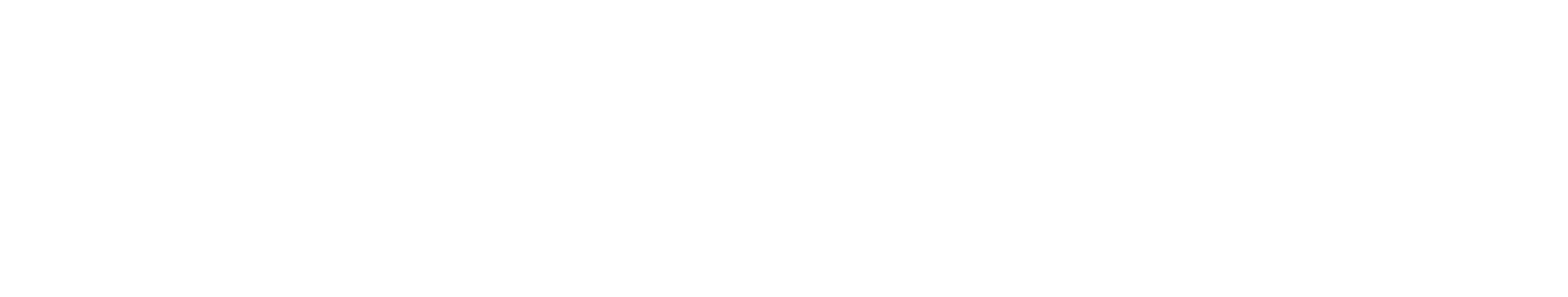 solari footer logo