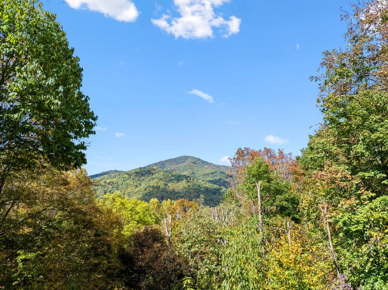 Green summit and blue sky from the Bella Vita deck