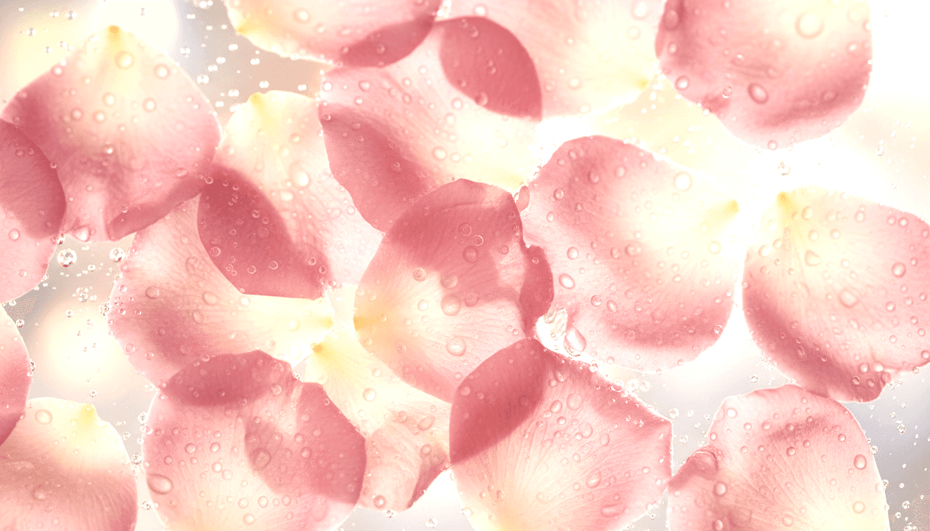 Black-and-white macro of a dandelion seed head on white—delicate botanical detail.