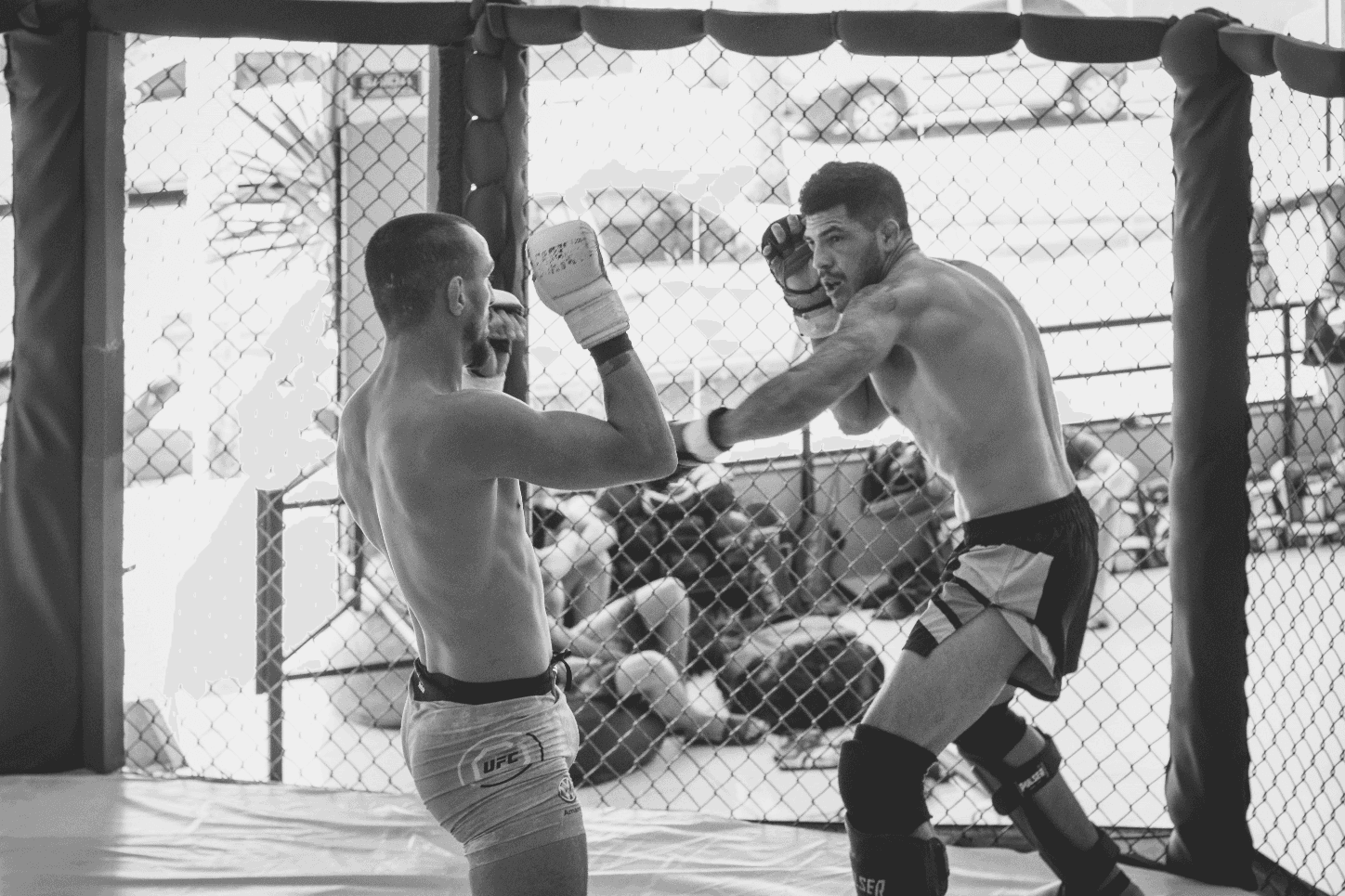 Two MMA fighters sparring inside a cage, one throwing a punch while the other raises a guard.