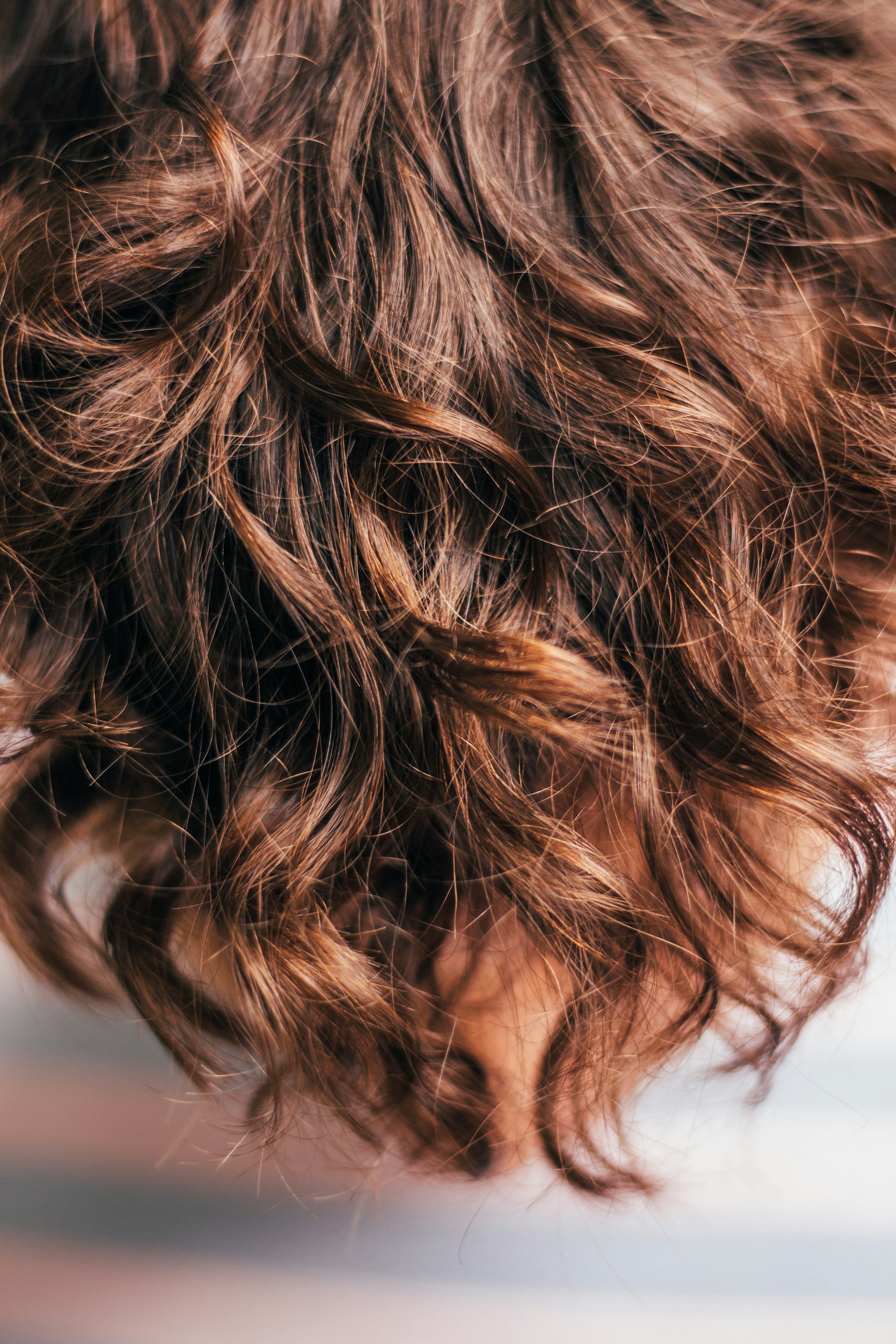 A close-up shot of dense, curly brown hair with golden highlights.