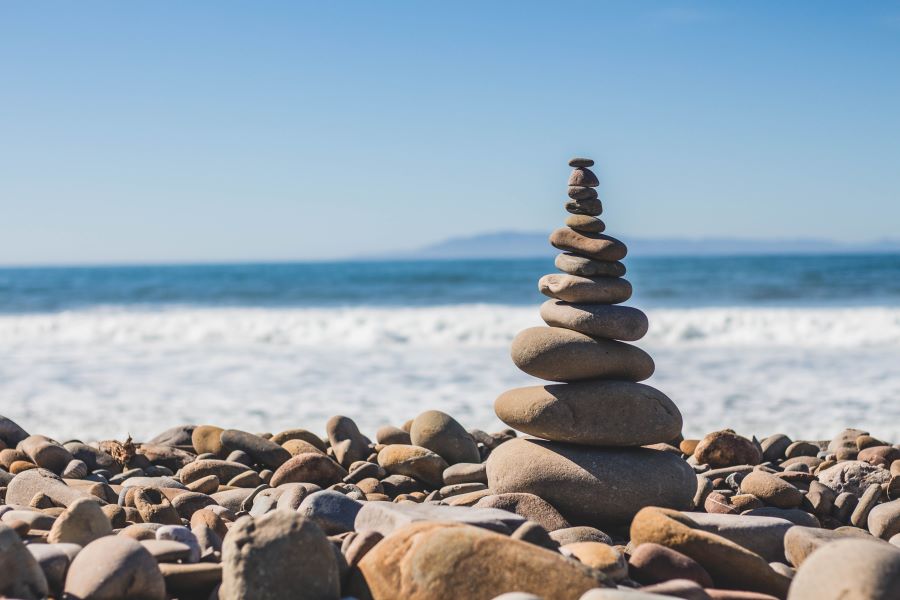 Equilibrio organismo