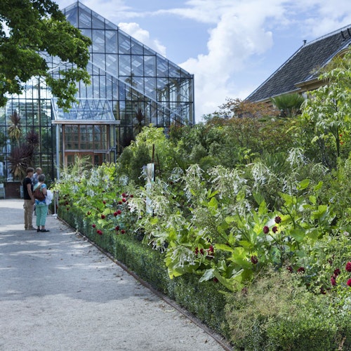 人们站在碎石小径上,旁边是繁茂的花园植物和花卉,紧邻一个大型玻璃温室。
