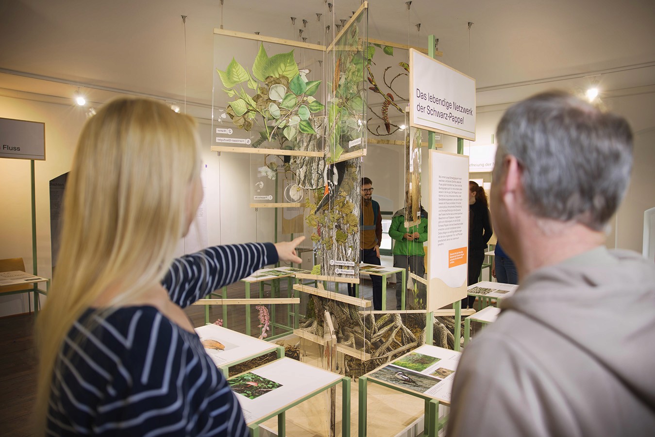 Besucher erkunden eine naturkundliche Ausstellung über die Donau-Auen