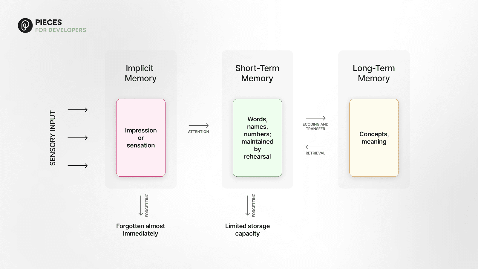 Illustration comparing long-term and short-term memory, highlighting differences in retention, recall, and information processing in AI and humans