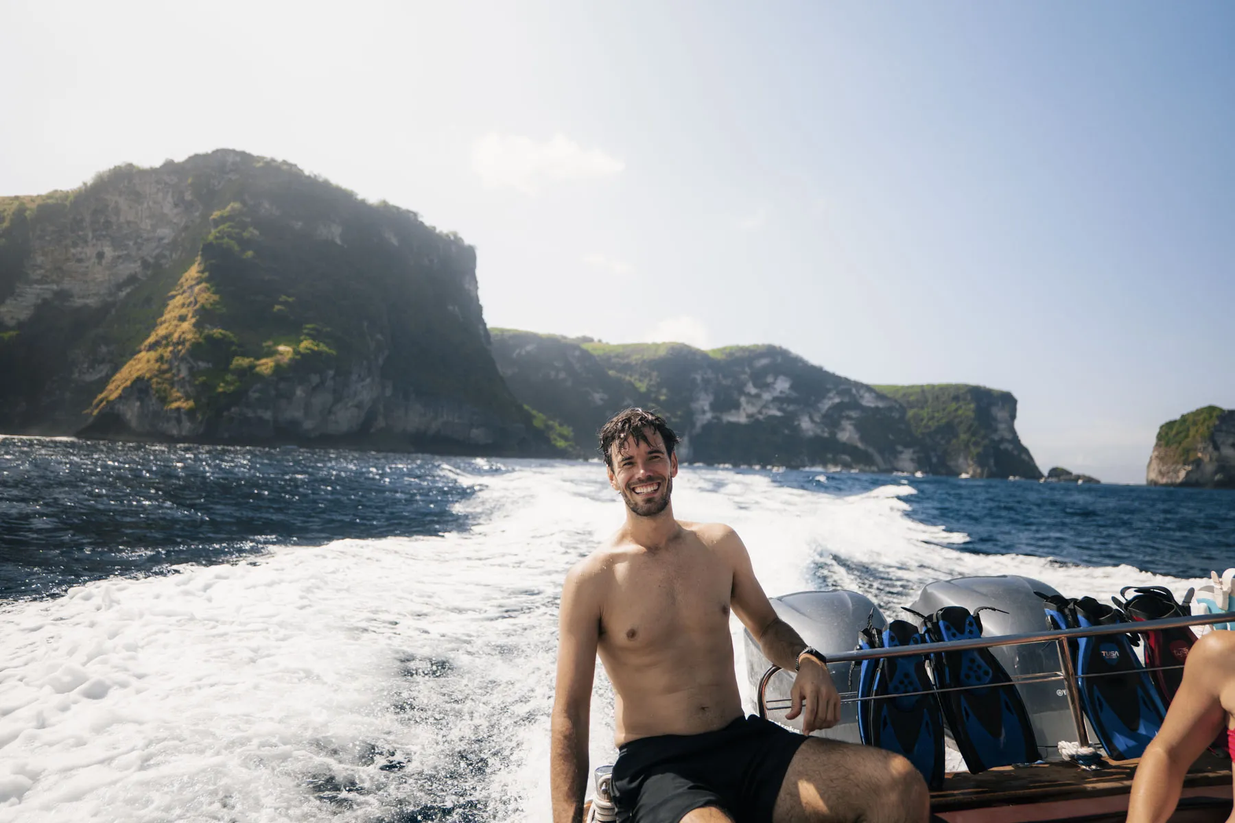 picture of plants and greenery