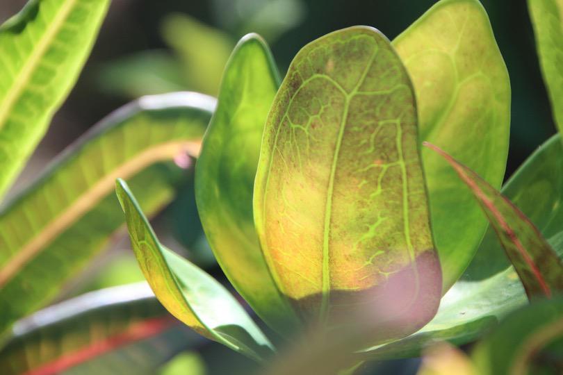 a black and white cat laying on top of a white wall