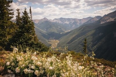 White wildflowers and evergreens overlook a green mountain valley beneath a cloudy sky.