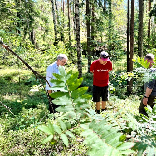 Se pueden encontrar tantos detalles.