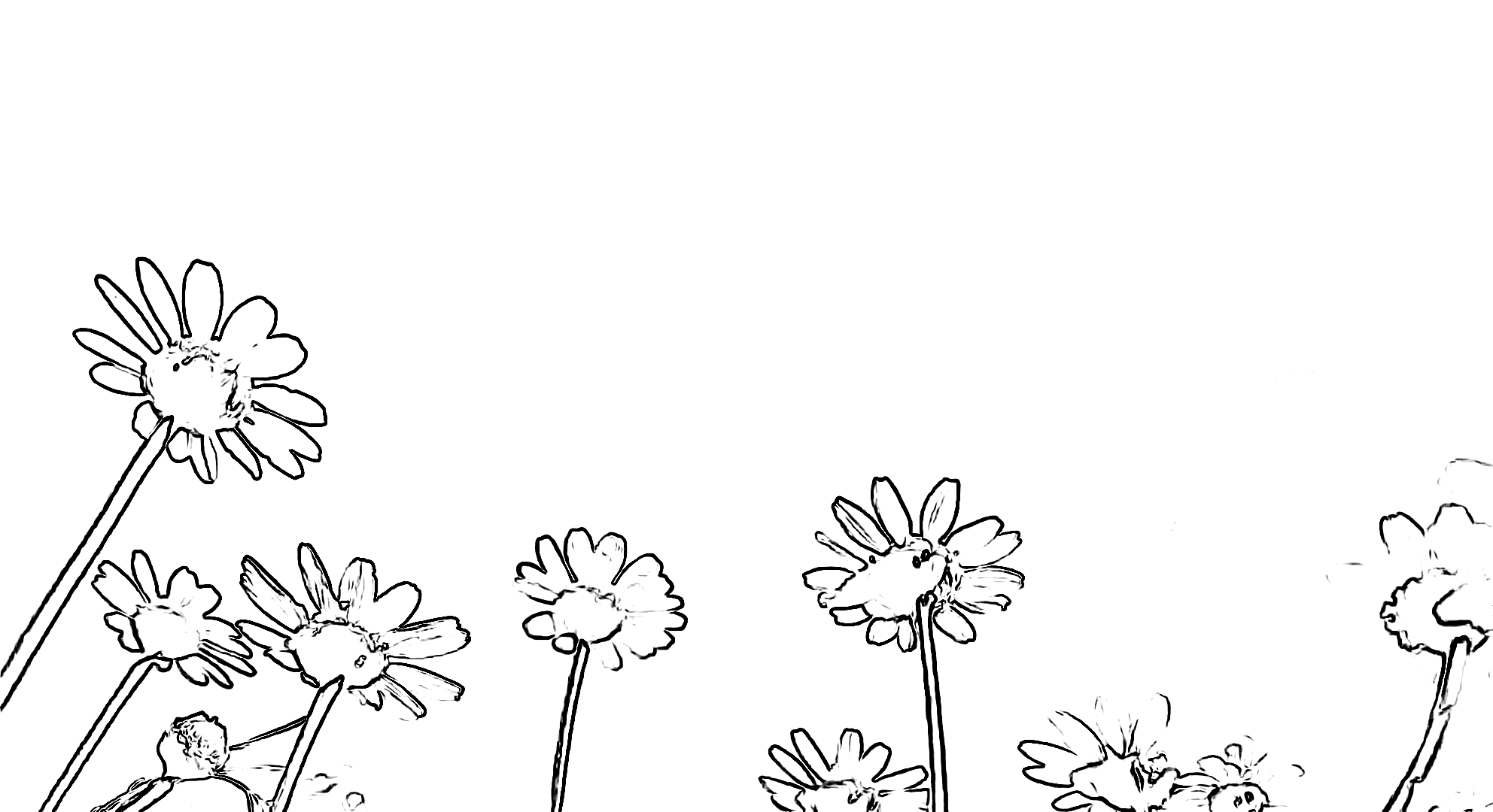 Sequence One Studio Loading Page. A Black and white image of a sunflower field