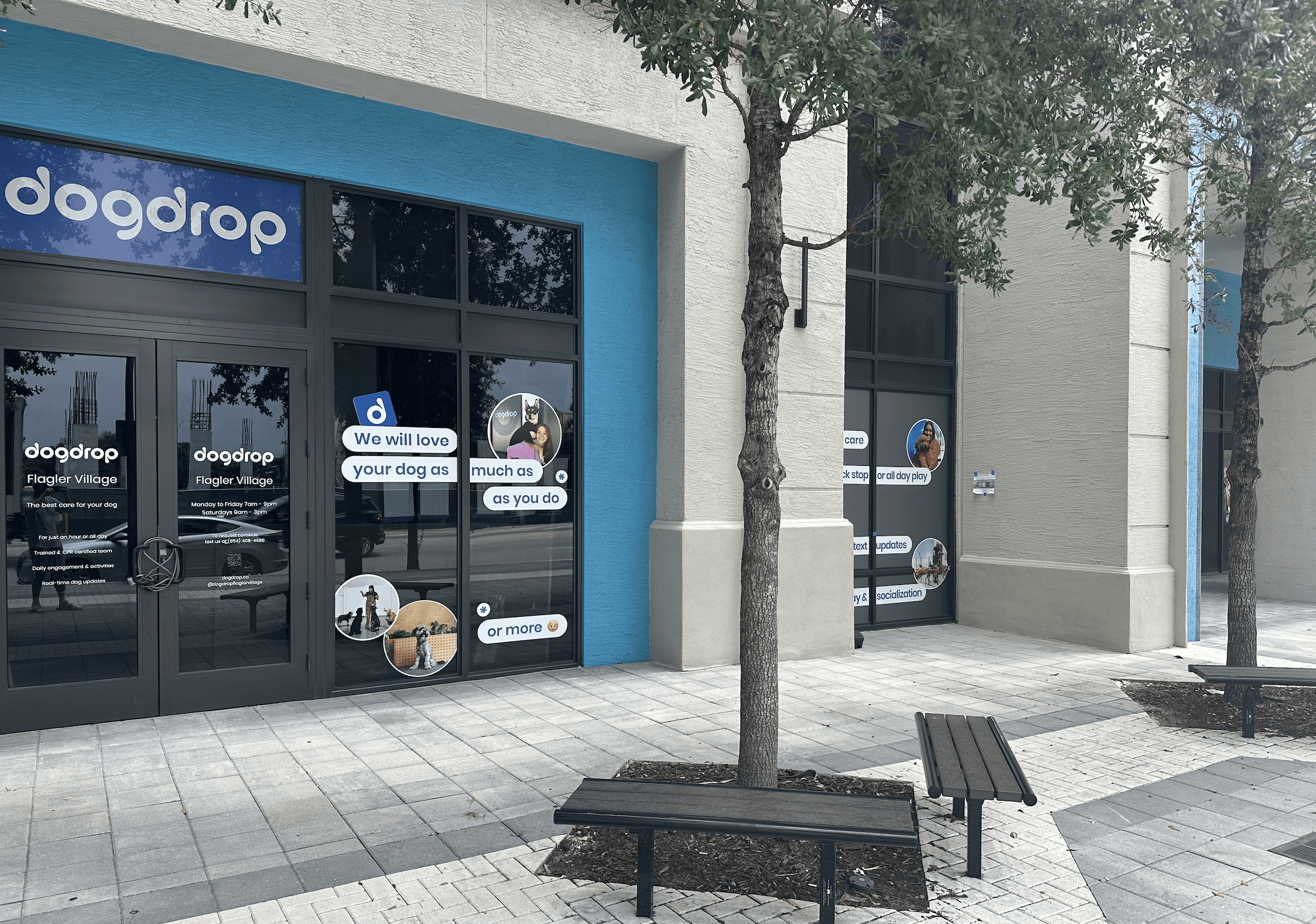 Dogdrop Fort Lauderdale dog daycare