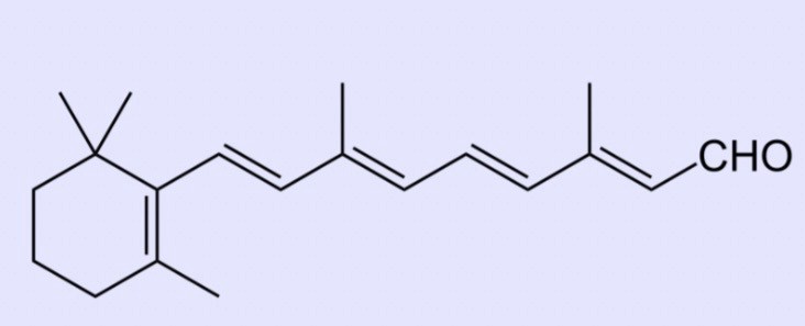 Retinal Molecular Structure