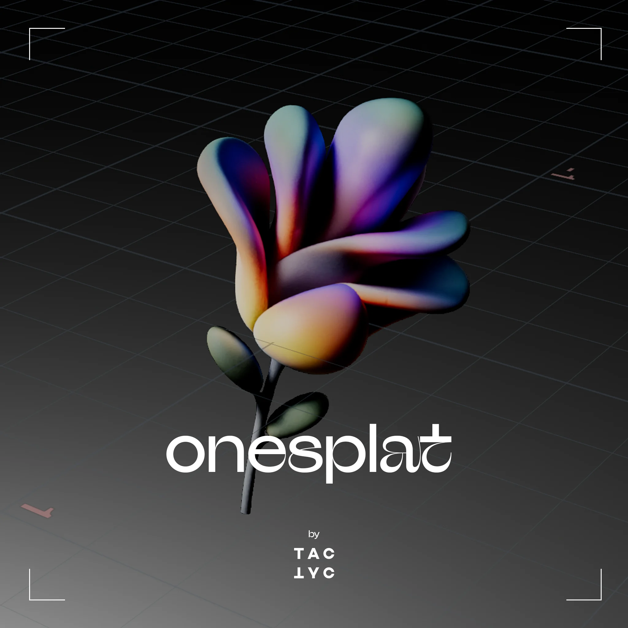 onesplat