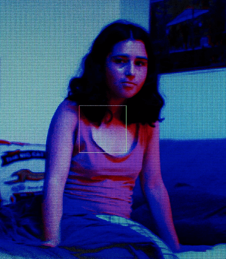 View of the robots vision