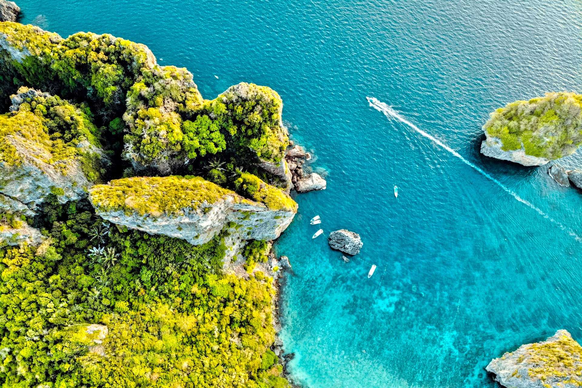 brown and white temple surrounded by green trees during daytime