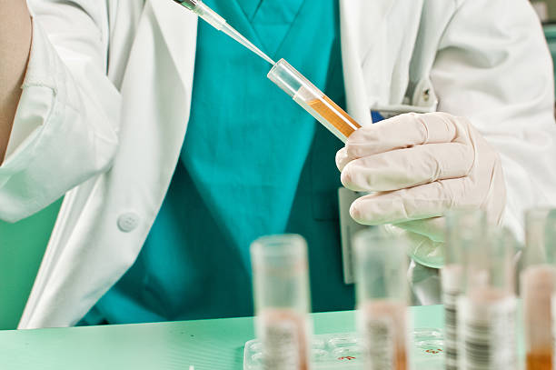 A veterinarian checking fluid samples from a pet patient in their in-house pet laboratory