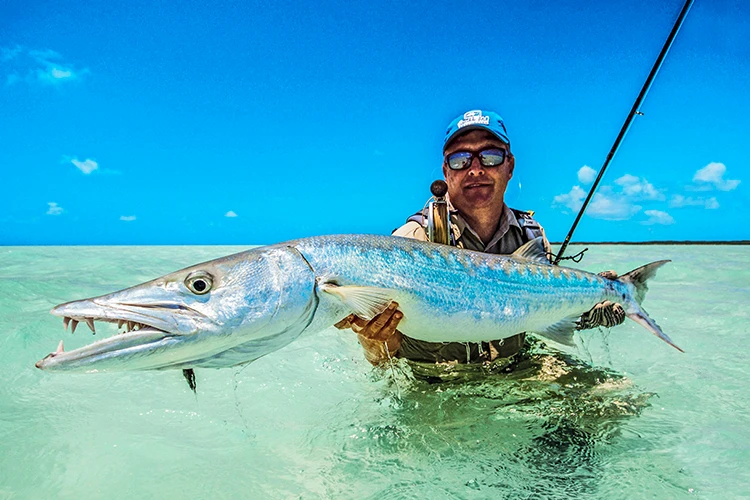 Fishing Great barracuda
